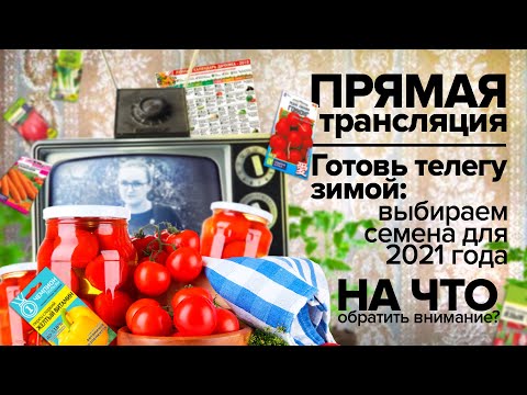 КАК ВЫБРАТЬ СЕМЕНА НА 2021 ГОД: ЛУЧШИЕ СОРТА, НОВИНКИ, ТОП ПОЛЕЗНЫХ СОВЕТОВ