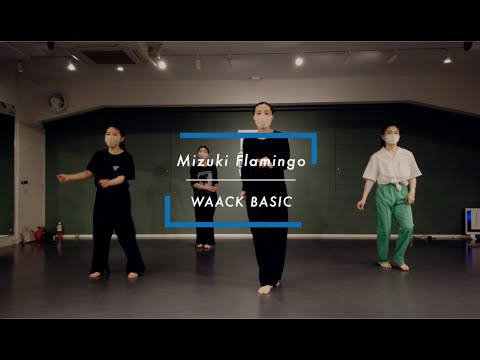 【DANCEWORKS】Mizuki Flamingo / WAACK BASIC