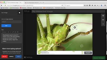 Adding Tags in Thinglink