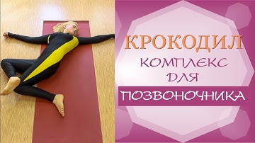 Комплекс упражнений для позвоночника КРОКОДИЛ (полная оригинальная версия)