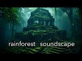 Rainforest soundscape 1 hour of soothing asmr nature sounds