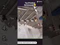 #bat