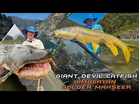 Wild Water Adventures part 53. – Devil Catfish and Golden Mahseer from India