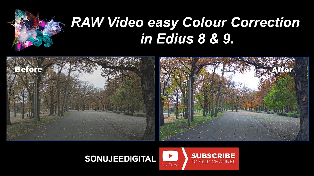 edius pro 8 setting work color edius pro 8 setting work color