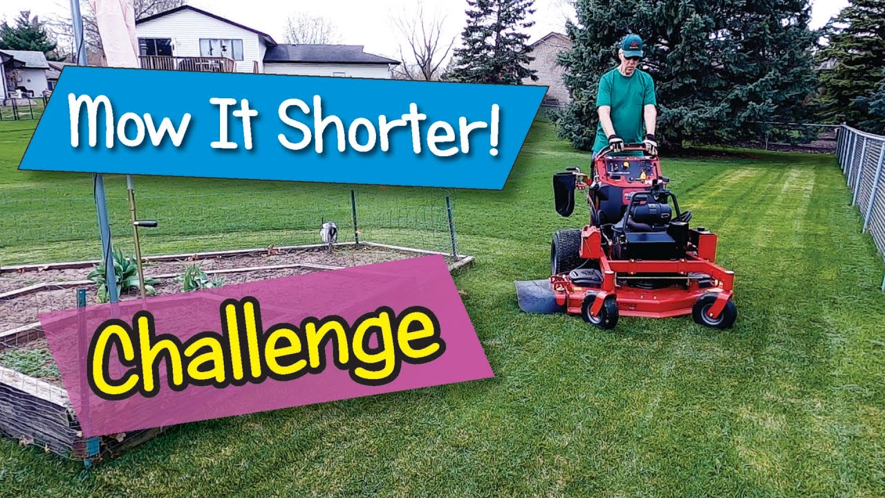 The What Would Happen If You Mowed Your Lawn Shorter Challenge YouTube the-what-would-happen-if-you-mowed-your-lawn-shorter-challenge-youtube