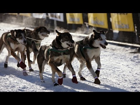 Video: Wohltätigkeitswerbung von Marks & Spencer