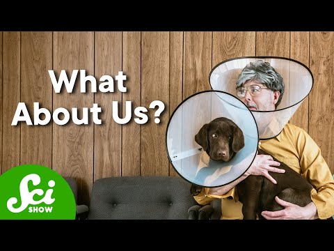 Why Your Dog Has An Anti-Tick Pill And You Don’t? thumbnail