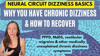 Why you have PPPD, MdDS, and other unexplained chronic dizziness & how to recover