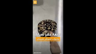 حديث السوشال | مسافر صيني يحمل في جيبه 14 ثعباناً.. ما القصة؟