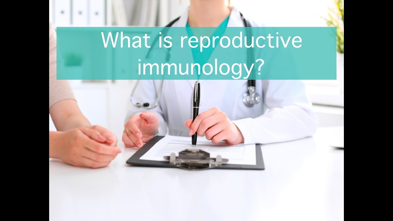 What Is Reproductive Immunology - Youtube What Is Reproductive Immunology - Youtube