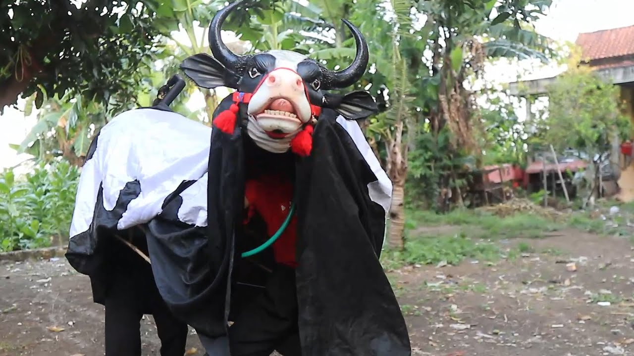 GAGAL MAIN BANTENGAN SAPI MBEROT DAN BARONGAN KARENA HUJAN TERUS REVIU KOLEKSI  SANDI NGEVLOG