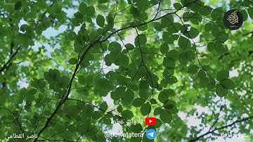 تلاوة عطرة ❤️  سورة فاطر .. الشيخ ناصر القطامي 🌙  #القران_حياة_القلوب