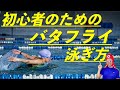 バタフライの泳ぎ方(水中映像)初心者向けに解説
