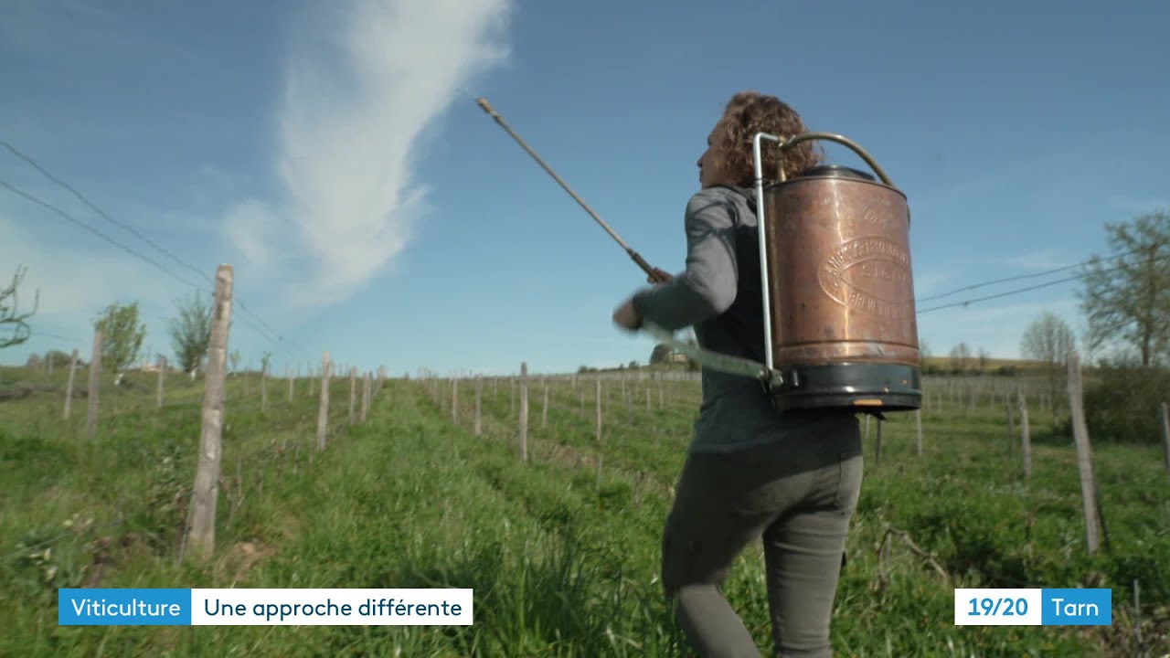 La biodynamie pour produire du vin autrement
