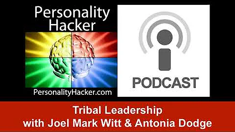 Tribal Leadership | Audio Ep 69 | PersonalityHacker.com