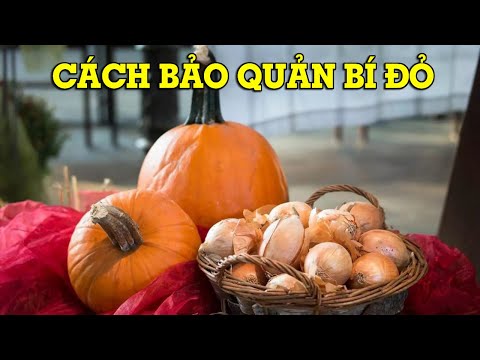 Video: 3 cách bảo quản ớt