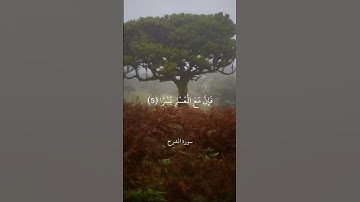 أَلَمْ نَشْرَحْ لَكَ صَدْرَكَ || سورة الشرح || علي جابر