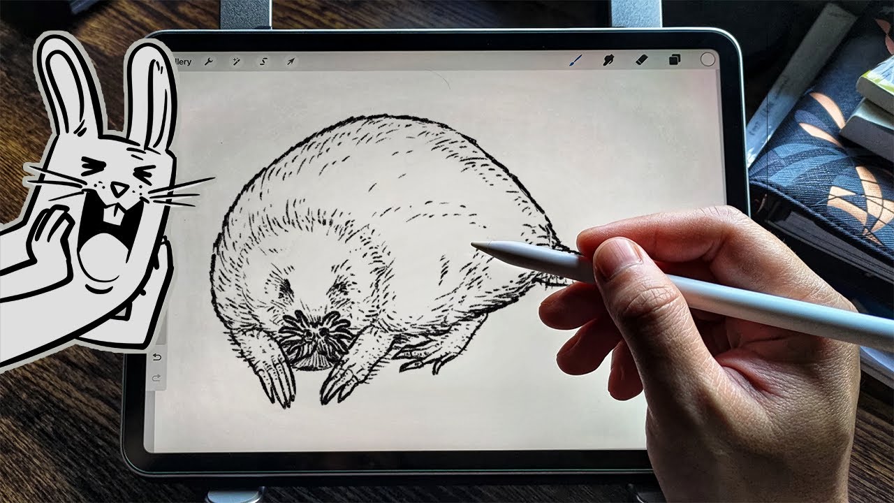 How to draw a Star-Nosed Mole ⭐️