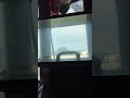 Native fish tank feeding #viral #getyourfishon #gethooked #catfishrig #bassfishing #catfished
