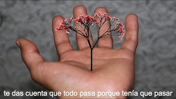 Thumbnail of GREEN VALLEY -NO ME VOY A RENDIR-(LYRIC VIDEO)