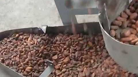 Cocoa Bean SORTING Machine|Cocoa Beans Sorter Equipment For Sale
