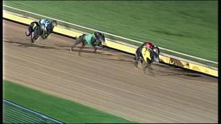 WBL THU 29 SEP 16 R11