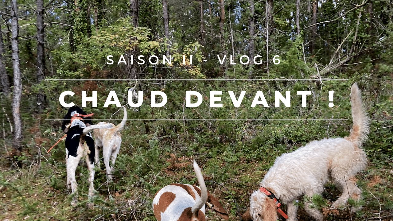 Vlog 6 - Chaud devant !