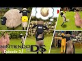 Shaun the Sheep | Episode 3 | Nintendo DS | Gameplay 🐑💛🐑💛🐑💛🐑💛