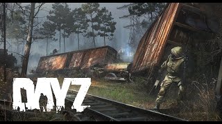 STALKER PVE Quant 2