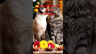 sinhala cat and Tamil cat celebrated by sinhala and Tamil new year