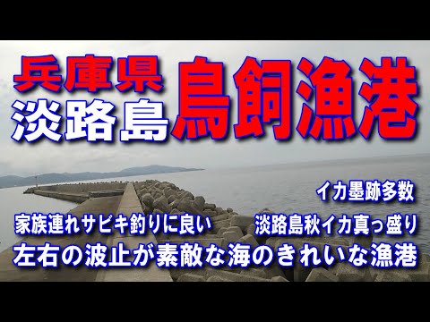 #103兵庫県淡路島鳥飼漁港左右の波止が素敵な海のきれいな規模の大きい漁港淡路島の播磨灘側海岸を南北に走る県道31号淡路サンセットライン秋イカ真っ盛りイカ墨跡多数足場の良い波止家族連れサビキ釣りに良い