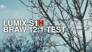 Blackmagic RAW on Lumix S1H | 12:1 Compression Test (6K & 4K Footage)