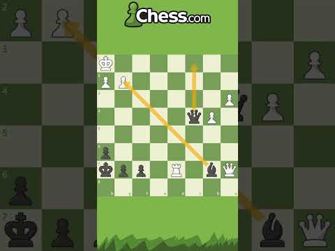 Daily chess puzzle for beginners - 27 June