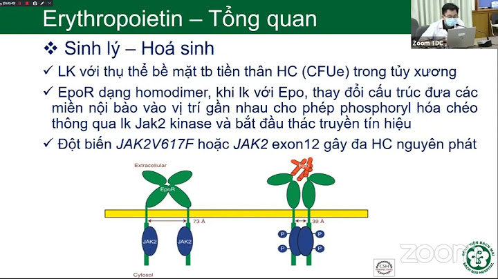 Luận văn đánh giá sử dụng epo năm 2024