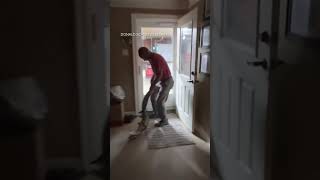 Alligator removed from home after it entered through dog door