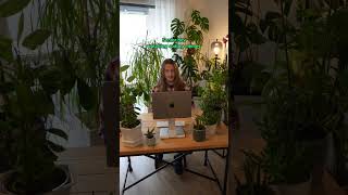 Software developers watching coding memes