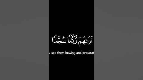 سورة الفتح #قرآن #راحة_نفسية #holyquran #اكسبلور