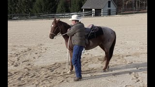 Teach Your Young Horse to Back (The Beginning) - Episode 95 - Herm Gailey: A Lifetime with Horses