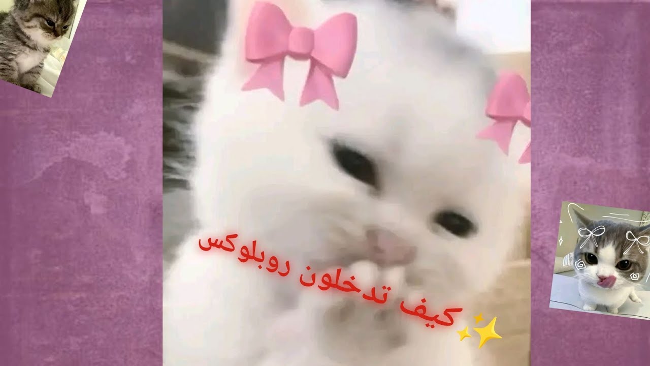 كيف تدخلون روبلوكسس /// قولوا لي ايش العب ماب فيها المرة الجاية؟ ✨