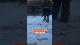 Kartopu Tartışması Ölümle Bitti Schiedamda 60 Yaşındaki Adam Hayatını Kaybetti