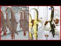 Crocodile Farming Process You Must See, Crocodile Processing Factory, How To Make Crocodile Handbag