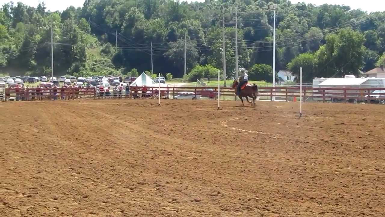 camera iphone 8 plus apk Stormy-Poles 4