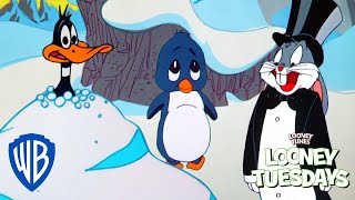 Looney Tuesday | Winter is Coming ❄️ | Looney Tunes | WB Kids