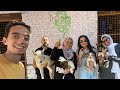 زيارات ملاجئ الكلاب في مصر 2 / شيلتر سلمى أنور/ المريوطية