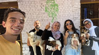 زيارات ملاجئ الكلاب في مصر 2 / شيلتر سلمى أنور/ المريوطية | Mahmoud And Kovu محمود و كوڤو