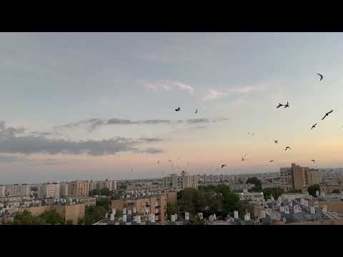 Обстрел ХАМАСом Беэр Шевы