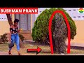 😂😂😂She Thought It Was A Tree! Her Scream Was So Loud! Bushman Scare Prank #20 HILARIOUS REACTIONS