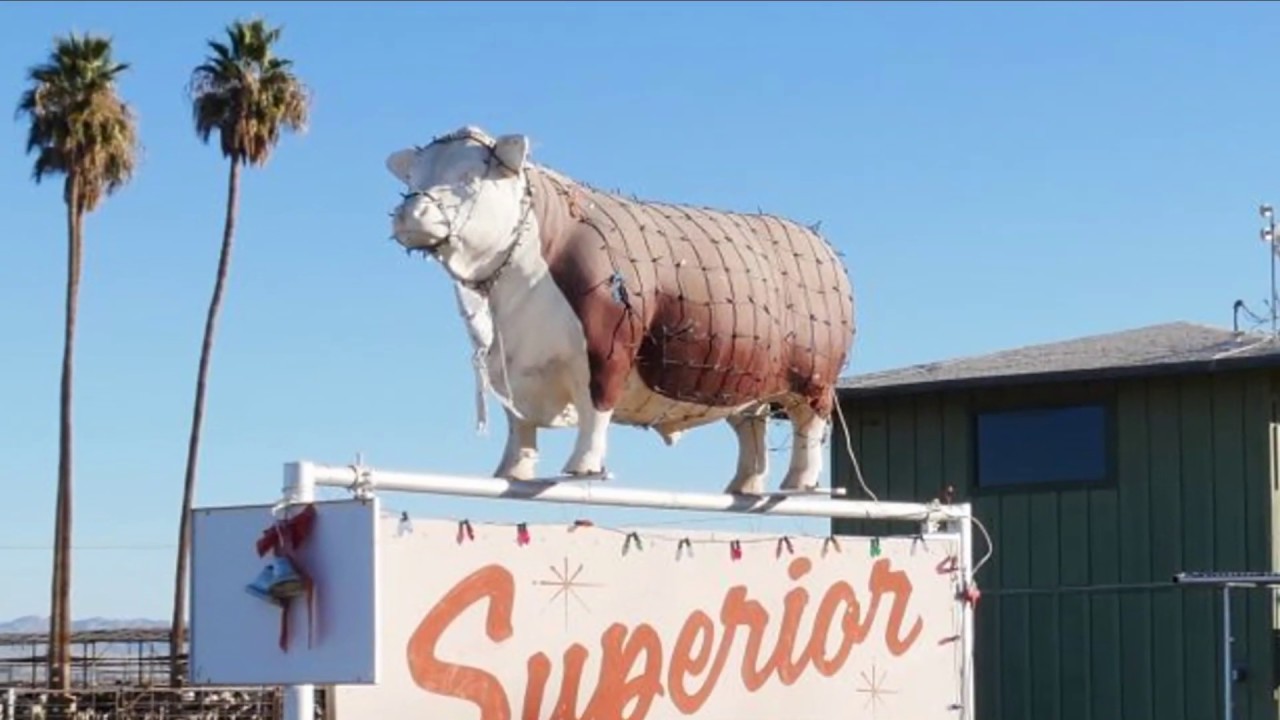 Superior Cattle Feeders Calipatria California 2018 加州系列 路