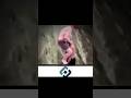 #funny #мемас #мем #minecraft #memes #cat #mrbeast #майнкрафт #ркн