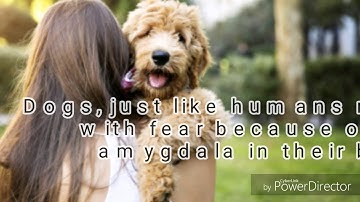 PSY 101 Video Project: Chapter 2